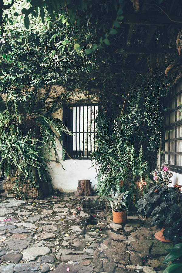 Hotel Hacienda Baza Тибана Экстерьер фото