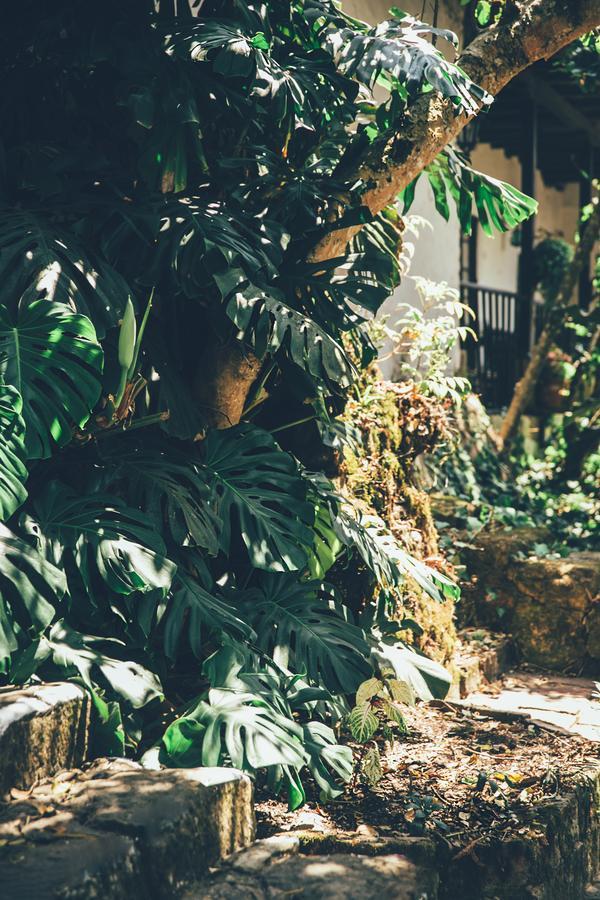 Hotel Hacienda Baza Тибана Экстерьер фото